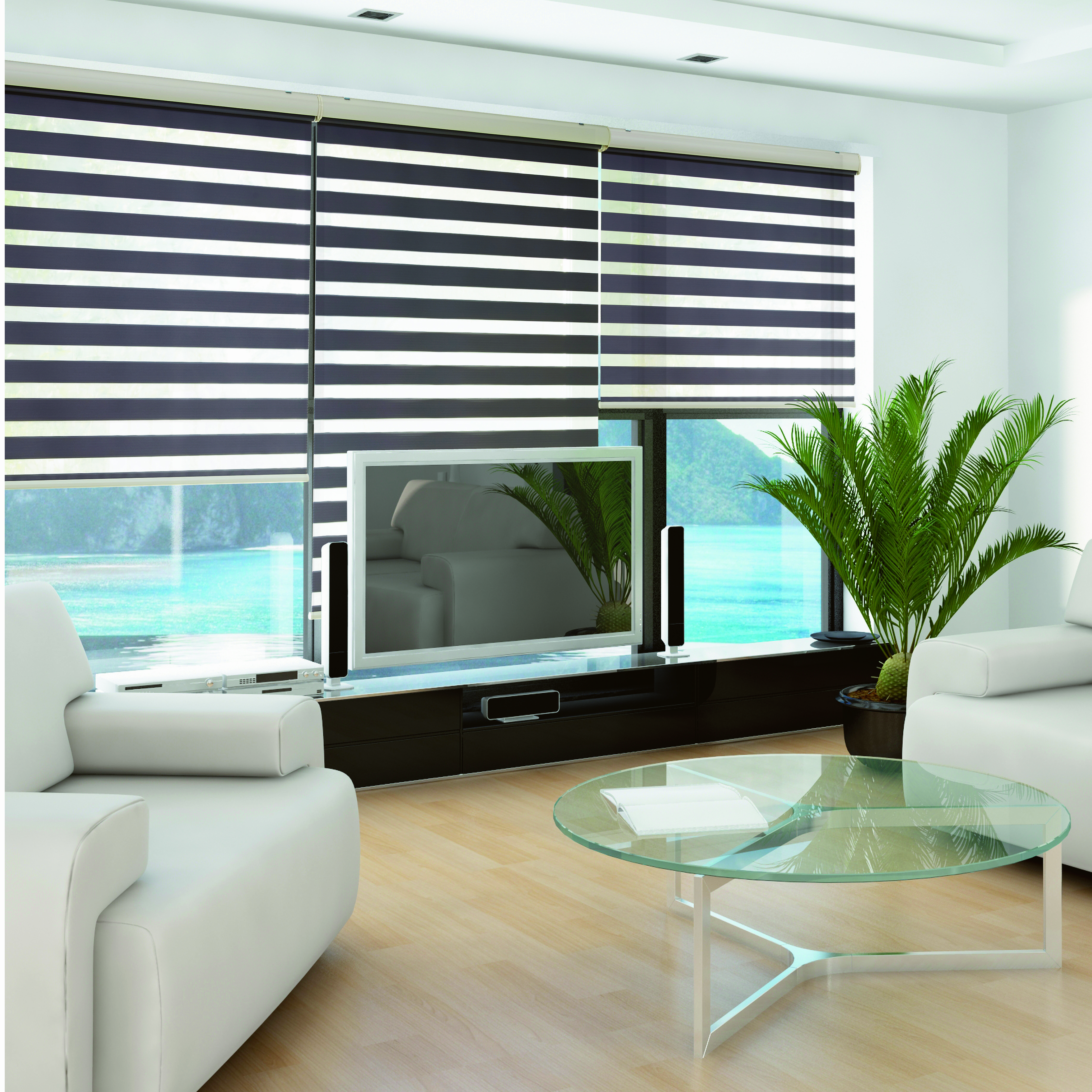 Zebra Blinds
